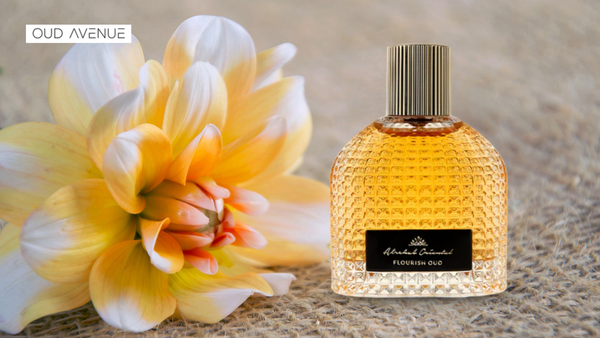 What are Fragrance Notes? Everything You Need to Know